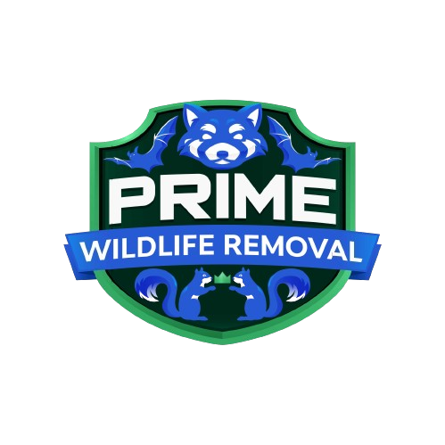 Wildlife Removal Bloomer Township